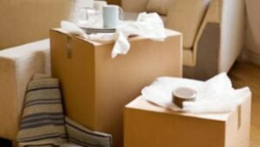 Packers and Movers Parvati