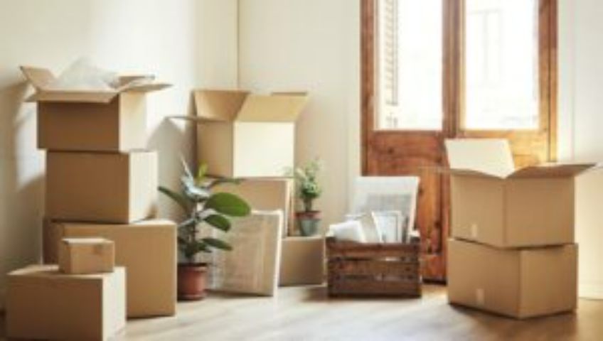 Packers and Movers Moshi